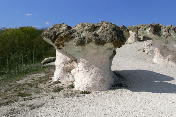 каменни гъби, stone-mushrooms, Rhodopes moutains